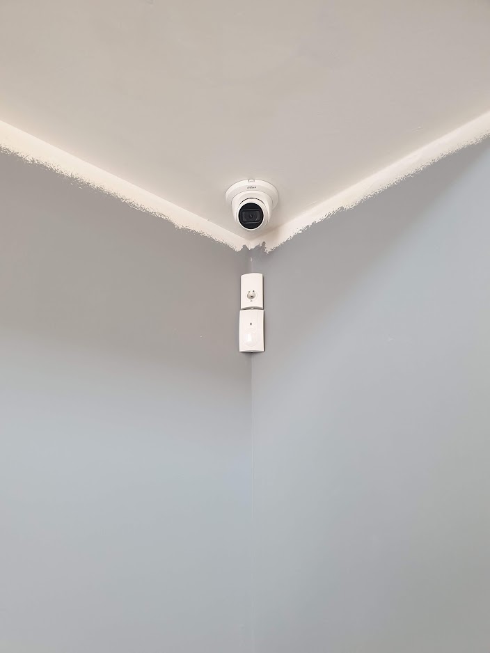 Συναγερμός Paradox